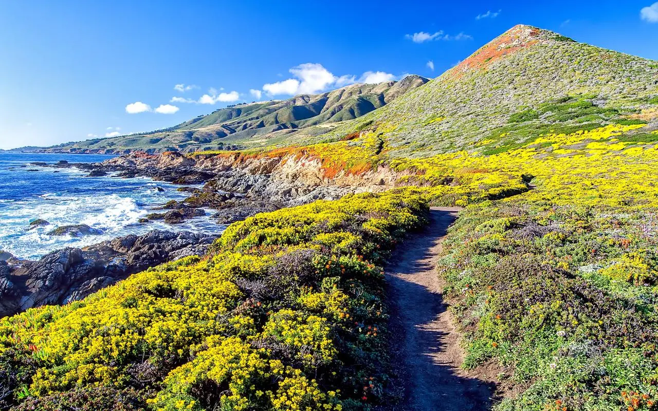 自动化智慧城市智慧制造
